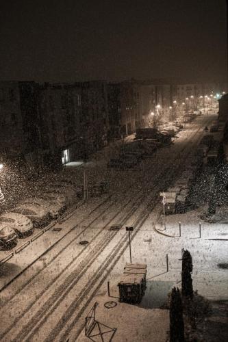 Lyon sous la neige
